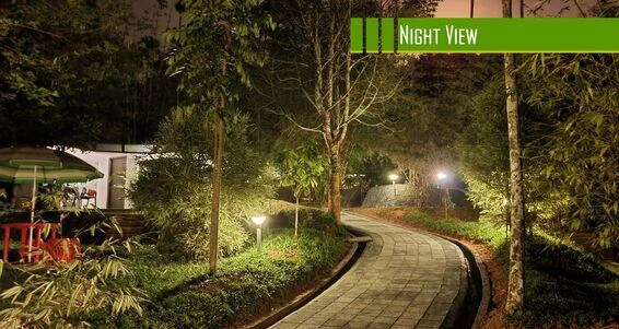 "Stunning night view of Vintage Garden Resort in Wayanad with illuminated pathways and serene surroundings."






